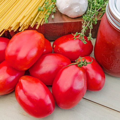 Tomato Salsa Collection