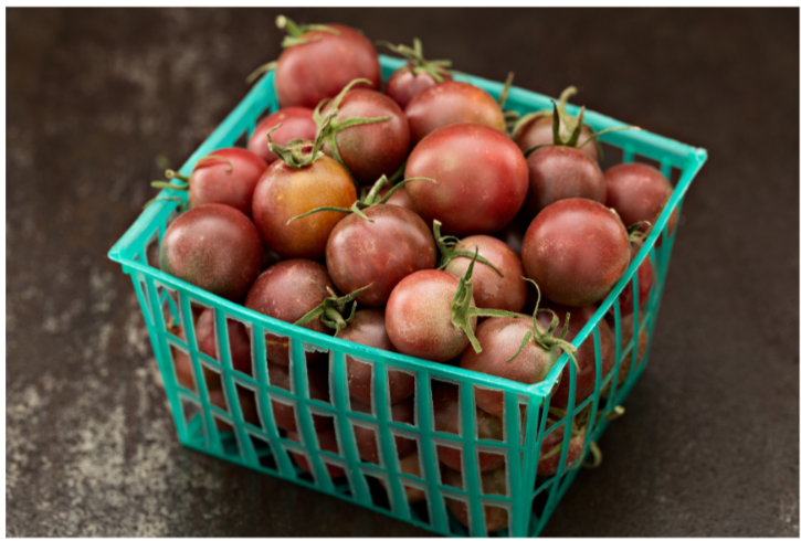 Black Cherry Tomato Plant