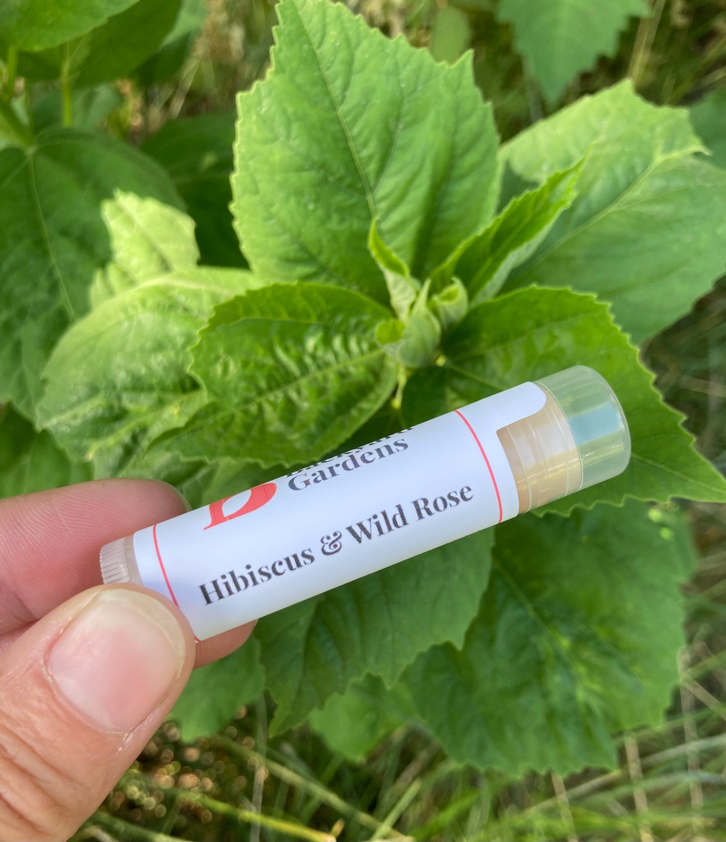 Hibiscus & Wild Rose Lip Balm