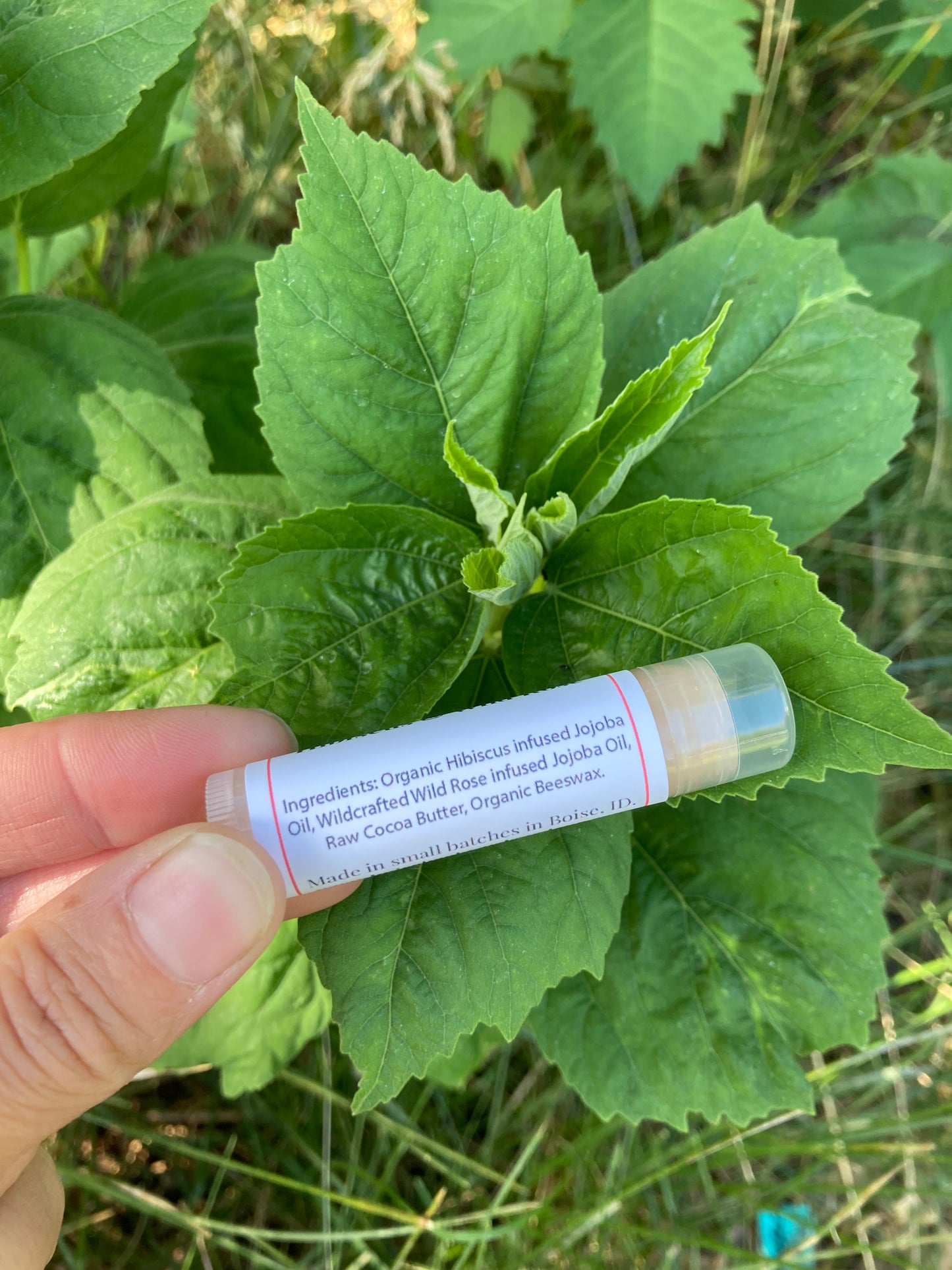 Hibiscus & Wild Rose Lip Balm