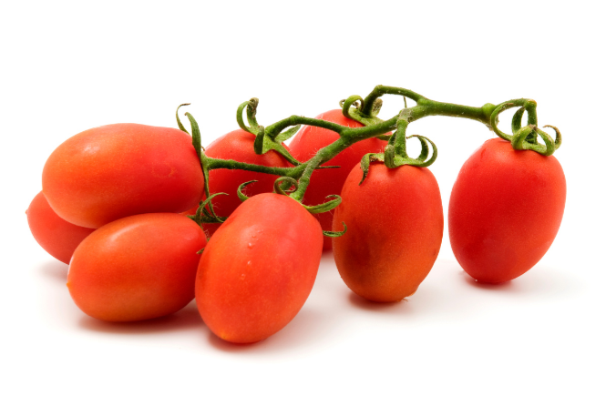 Roma Tomato Plant