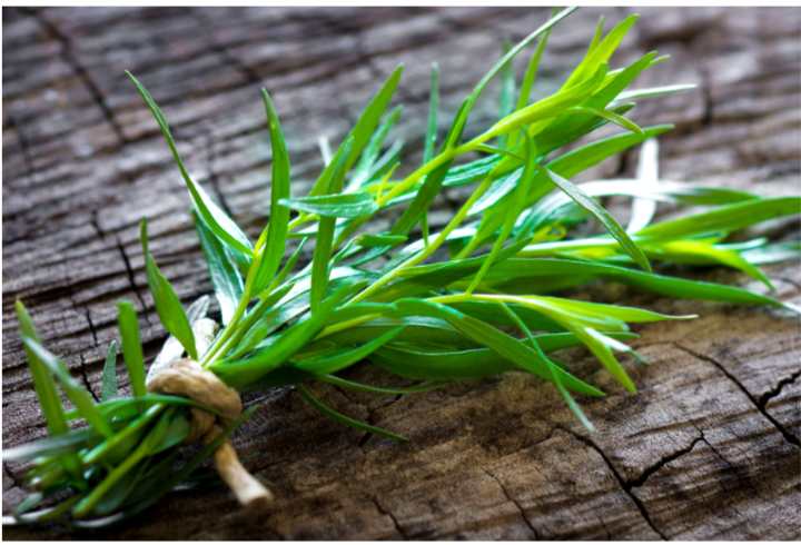 Tarragon